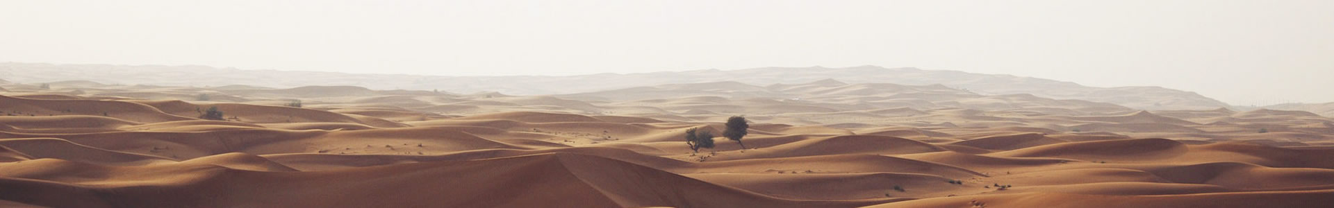 ɽó޹˾3
